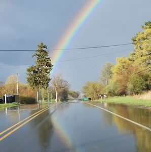 Meet your Posher, Tabitha